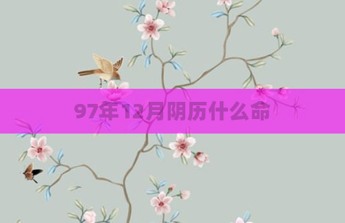 97年12月阴历什么命