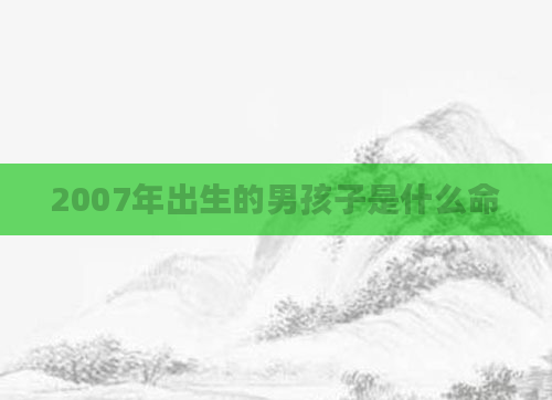 2007年出生的男孩子是什么命