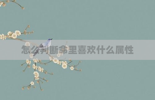怎么判断命里喜欢什么属性