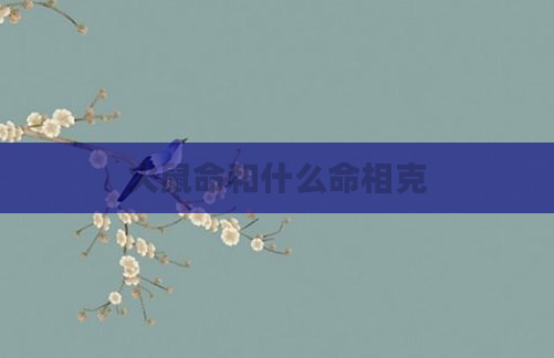 火鼠命和什么命相克