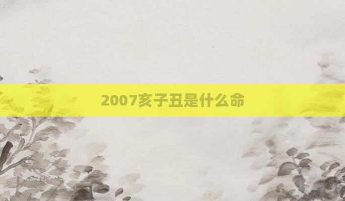 2007亥子丑是什么命