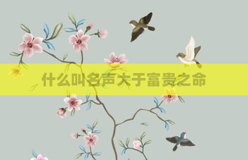 什么叫名声大于富贵之命