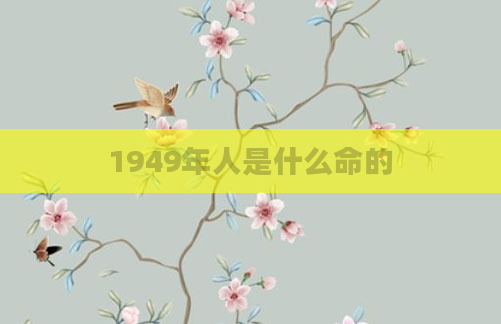 1949年人是什么命的
