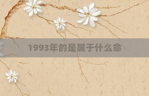1993年的是属于什么命
