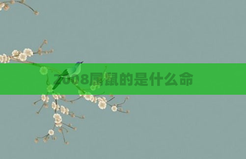 2008属鼠的是什么命