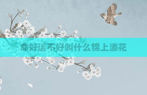命好运不好叫什么锦上添花