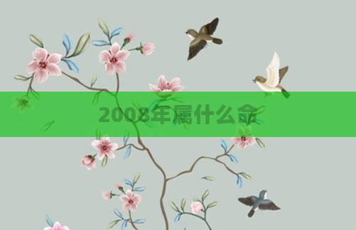 2008年属什么命