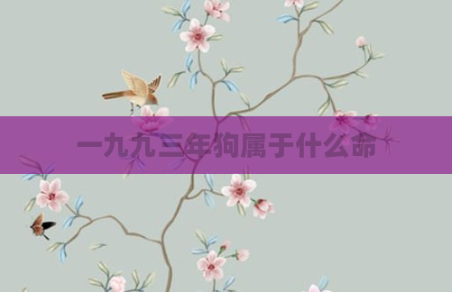 一九九三年狗属于什么命