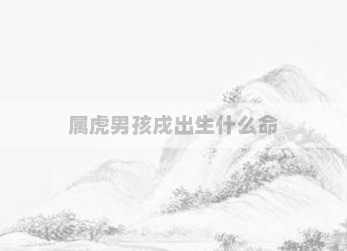 属虎男孩戌出生什么命