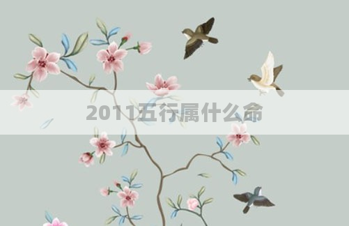2011五行属什么命