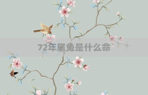 72年属兔是什么命