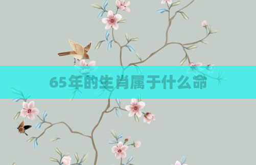 65年的生肖属于什么命