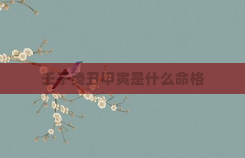 壬子癸丑甲寅是什么命格