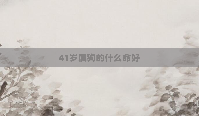 41岁属狗的什么命好