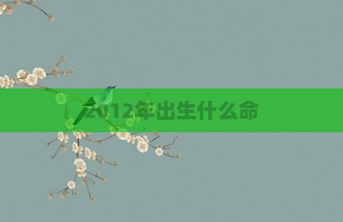 2012年出生什么命