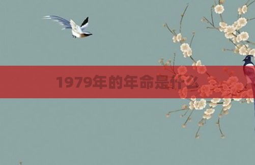 1979年的年命是什么