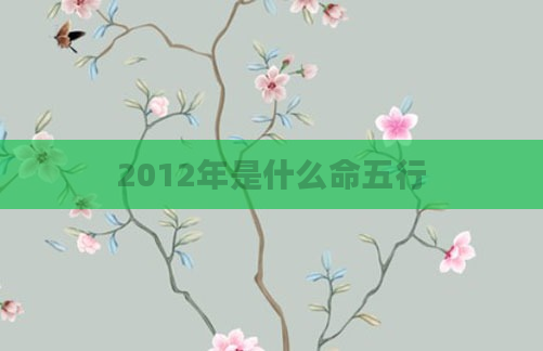 2012年是什么命五行