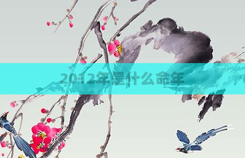 2012年是什么命年