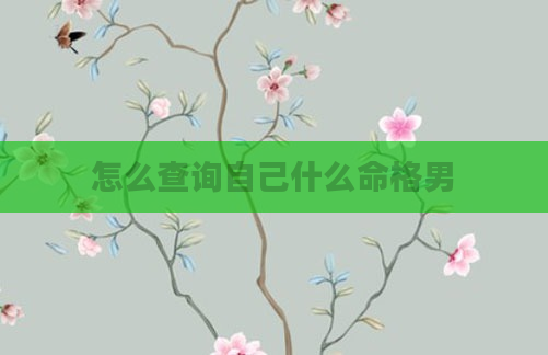 怎么查询自己什么命格男
