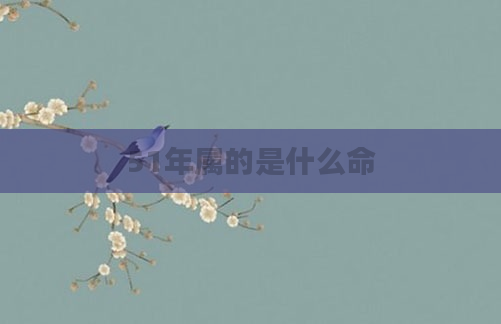 51年属的是什么命