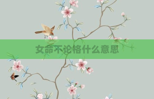 女命不论格什么意思
