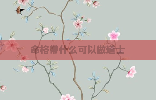 命格带什么可以做道士