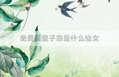 免费算童子命是什么仙女