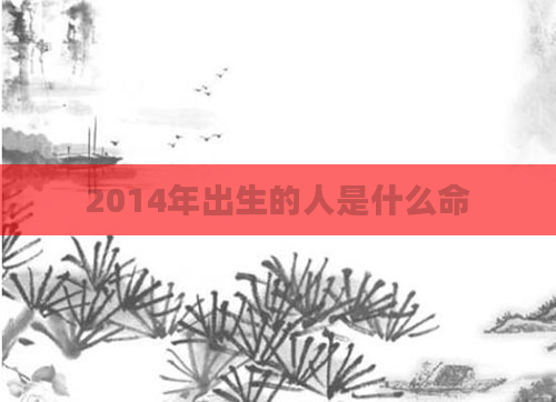 2014年出生的人是什么命