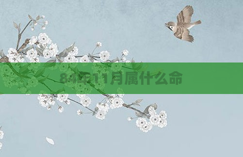 84年11月属什么命