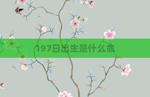 197日出生是什么命