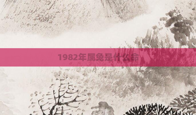 1982年属兔是什么命