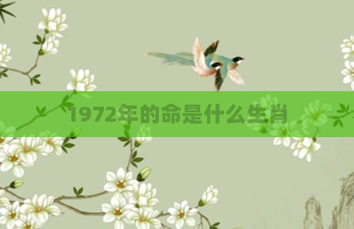 1972年的命是什么生肖