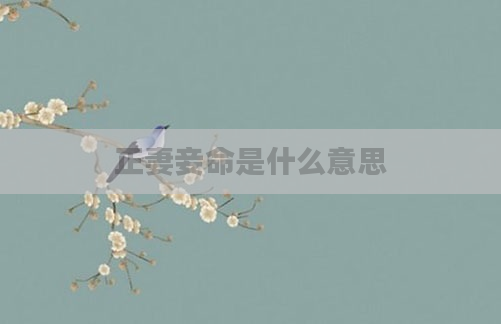 正妻妾命是什么意思