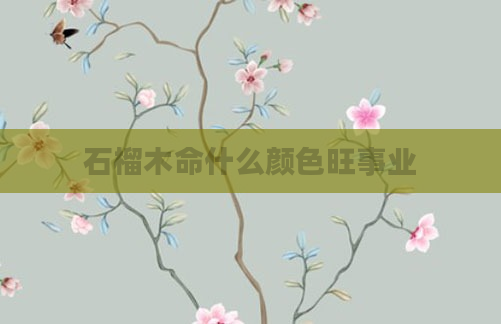 石榴木命什么颜色旺事业