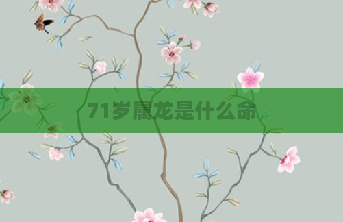 71岁属龙是什么命
