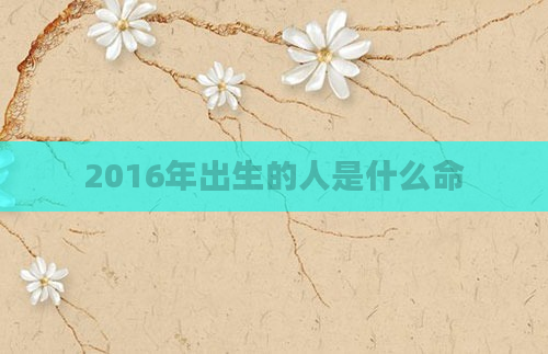 2016年出生的人是什么命