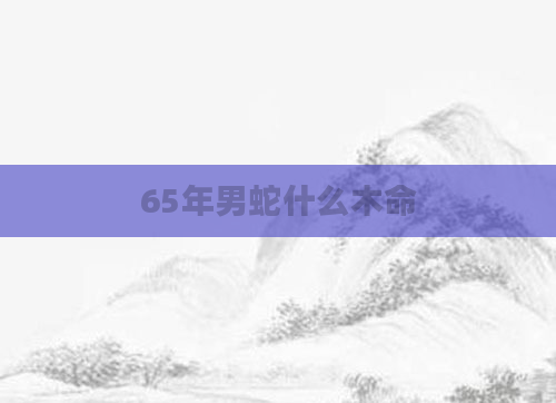 65年男蛇什么木命