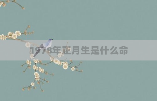 1978年正月生是什么命