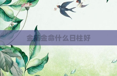 金箔金命什么日柱好