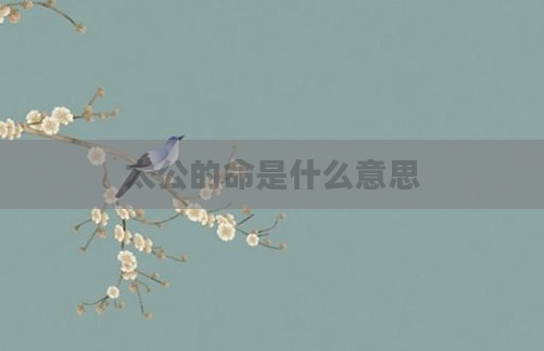 太公的命是什么意思