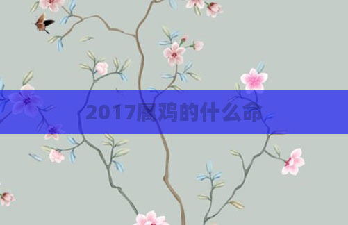 2017属鸡的什么命
