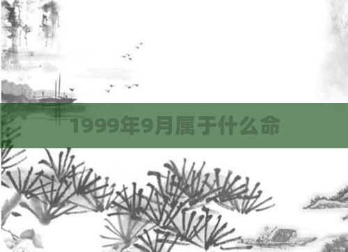1999年9月属于什么命