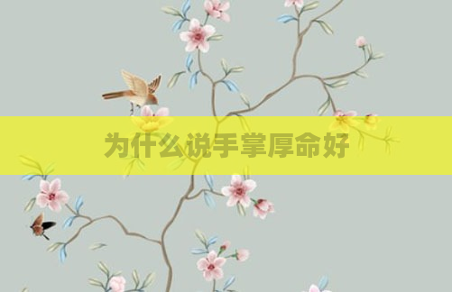 为什么说手掌厚命好