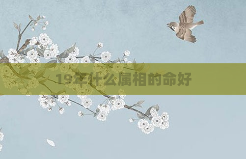 19年什么属相的命好