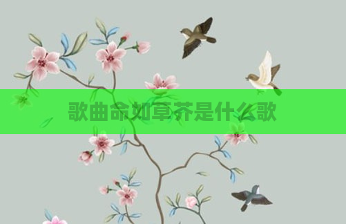歌曲命如草芥是什么歌