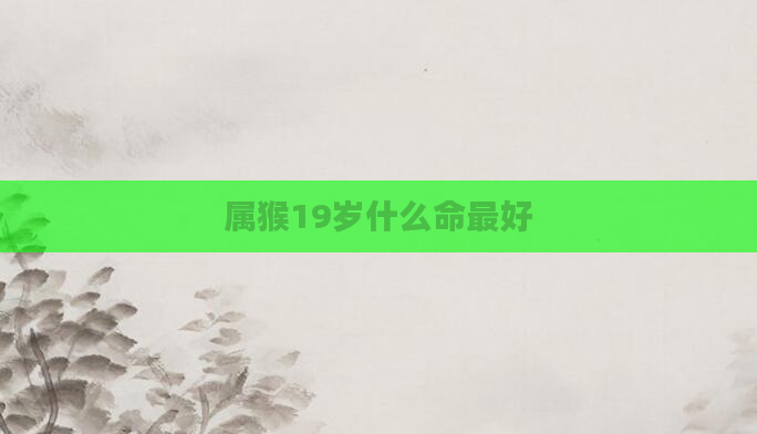 属猴19岁什么命最好