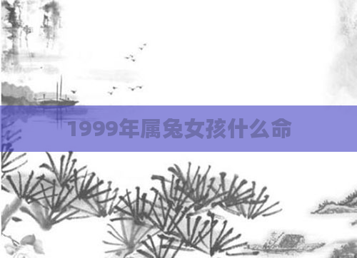 1999年属兔女孩什么命