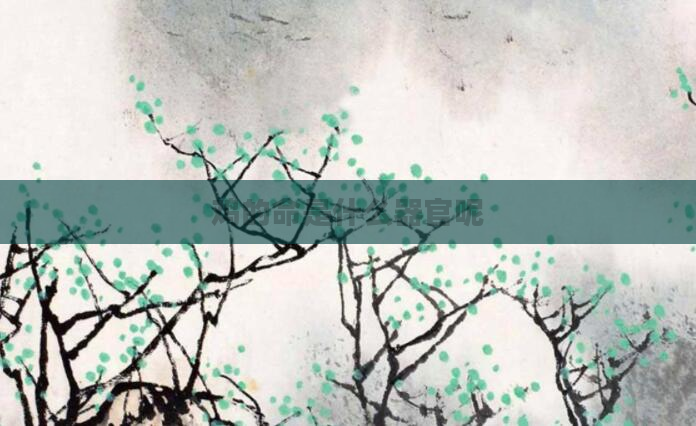 鸡的命是什么器官呢