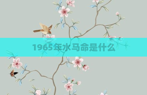 1965年水马命是什么