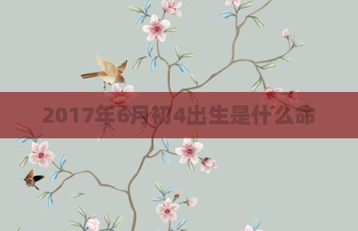 2017年6月初4出生是什么命